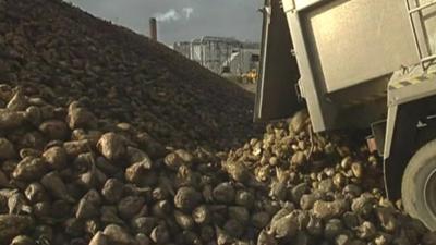 Unloading beet