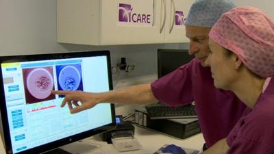 Doctors studying time-lapse images of embyros