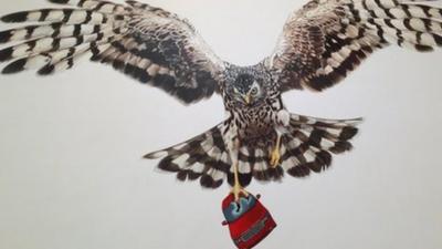 The Hen Harrier mural is titled "A Good Day For Cyclists"