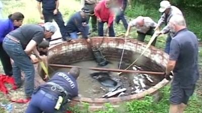 A horse trapped in a well