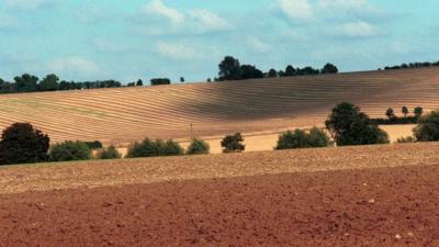 A view of English farmland