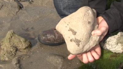 Phil Hadland holding fossil