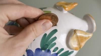 Money being put into a piggy bank