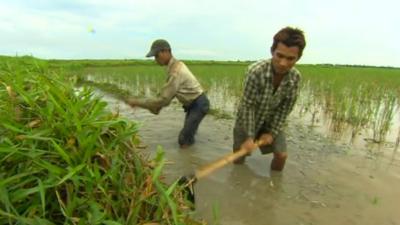 Farmers in Burma