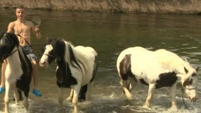 Appleby horse fair