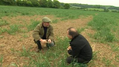 Farmer Archie Montgomery