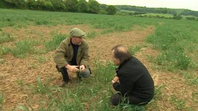 Farmer Archie Montgomery