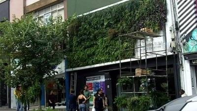 Plants growing up the side of a building in Sao Paulo