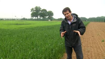 David Shukman reports on GM crops and products