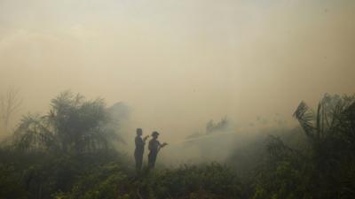 Firefighters spray water to burning palm oil trees in haze-hit Dumai, in Indonesia's Riau province