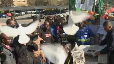 Doves released at hospital in Pretoria