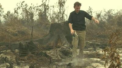 The BBC's Rupert Wingfield-Hayes balances on a log in the middle of a hot peat bog