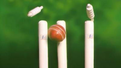 Cricket ball hitting stumps generic