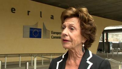 Vice-president of the European Commission, Neelie Kroes