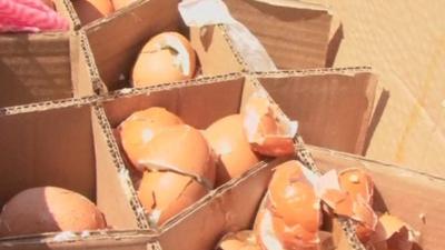 Broken eggs in a box