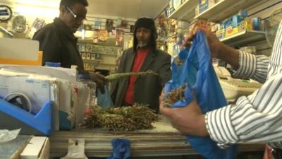 Khat being sold in a Bristol store