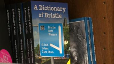 A Dictionary of Bristle