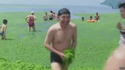 Beach engulfed in algae