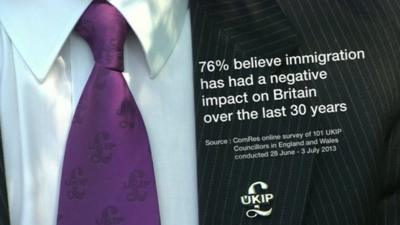 UKIP graphic