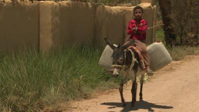 A boy riding a donkey laden with goods