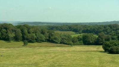 Rural Dorset