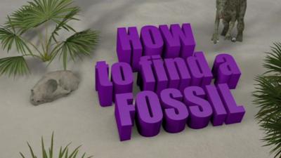 How to find a fossil graphic.