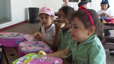 Children eating packed lunches