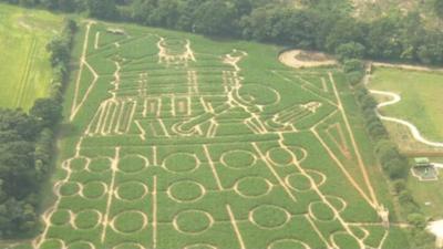 Dalek maze