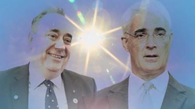 salmond and darling sunny