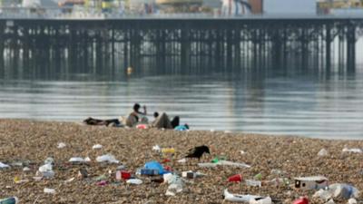 Check out Martin's report about the litter bugs taking over our beaches!