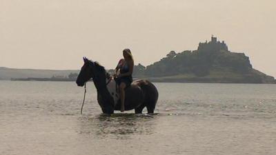 Horse and rider in the sea