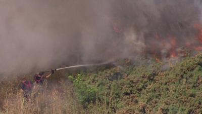 Fire fighters tackling grass fire in south London