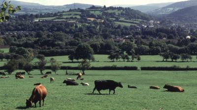 Rural Wales