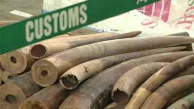 Illegal ivory seized in Hong Kong