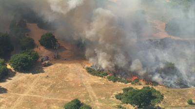 Firefighters tackle Leytonstone wildfire