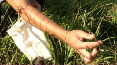 Researcher collecting seeds for the Millennium Seedbank