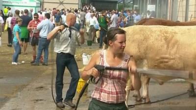 Farmers at the Royal Welsh Show