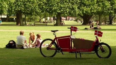 Family bike with Danish flags