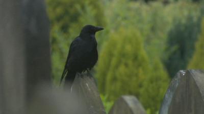 Southern Cemetery in Greater Manchester