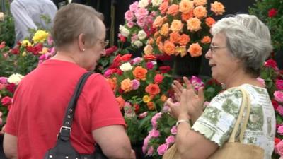 Taunton Flower Show 2013