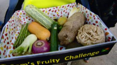 Selection of vegetables