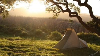 A tent in a field