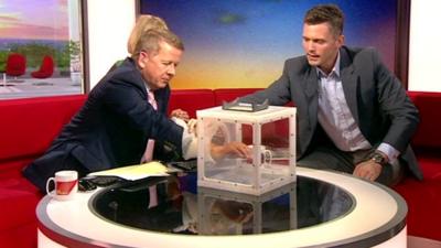 Bill Turnbull puts his hand into a box of mosquitos