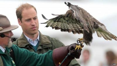 Prince William with a falcon