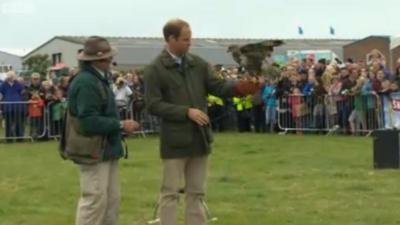 Prince William with a falcon