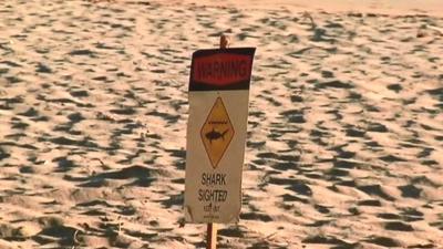 Shark sign on beach