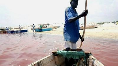 A Lake Retba salt miner