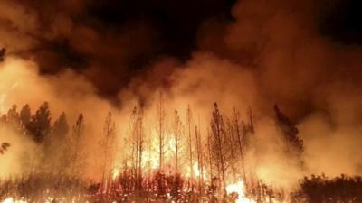 US Forest Service photo of the Rim Fire near Yosemite National Park, California