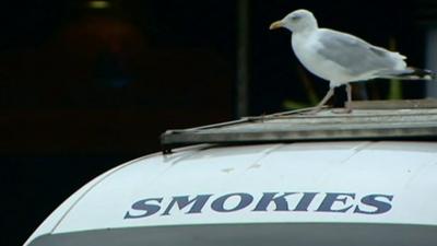 Seagull on boat