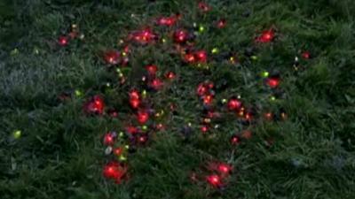 Dots of red and green show snails fitted with LEDs on a lawn